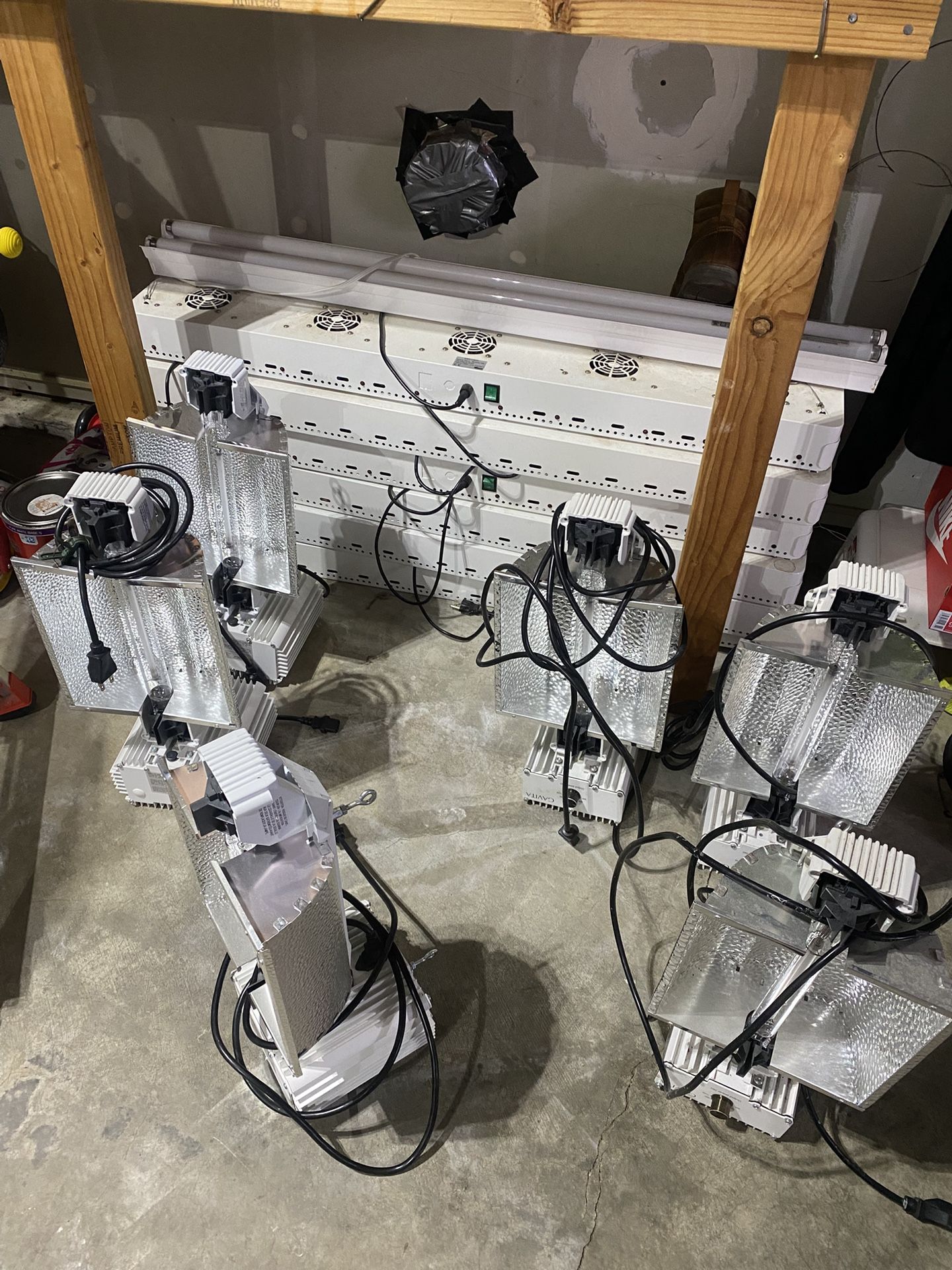 Gavita Grow Lights