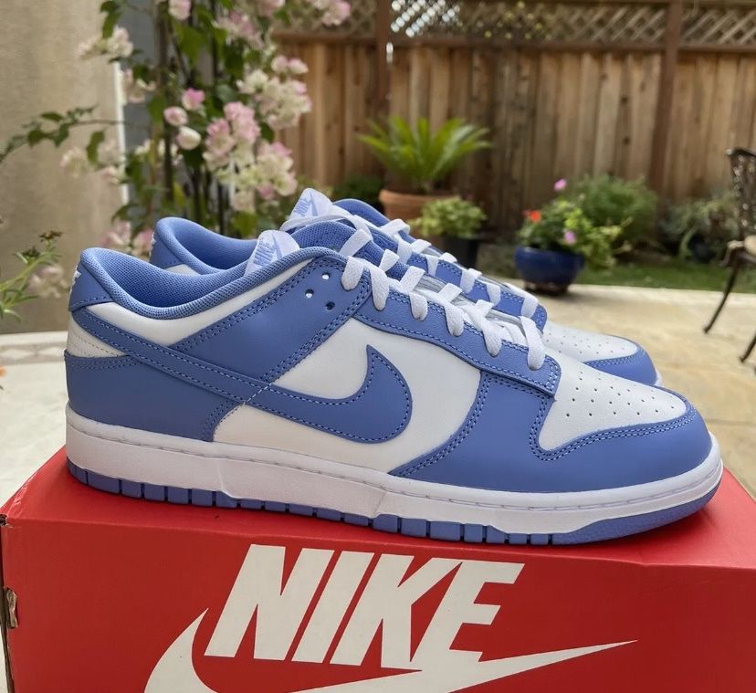 Dunk Low Polar Blue Ice Size 9.5