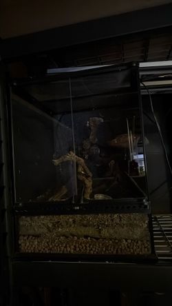 Reptile enclosure 18x18x24