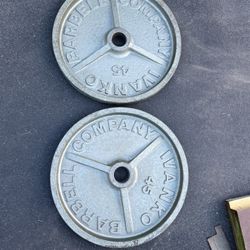 45lb Ivanko Olympic Weight Plate Set 