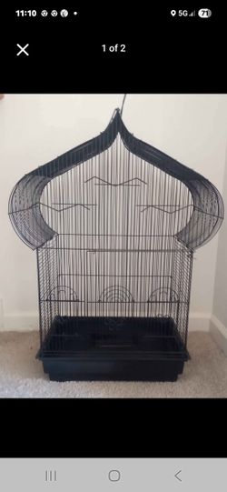 Bird Cage