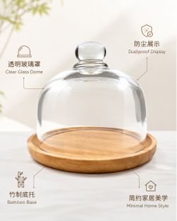 Glass Dome with Bamboo Base
