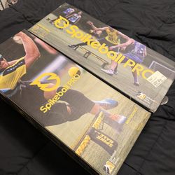 Spikeball Pro (2)
