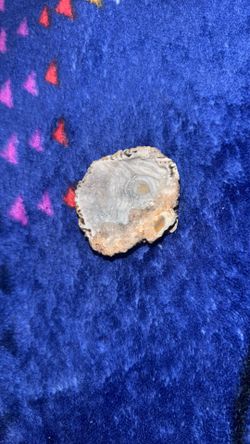 Geode Crystal Cluster 