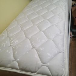 Twin Mattress Sealy