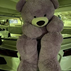Big Teddy Bear