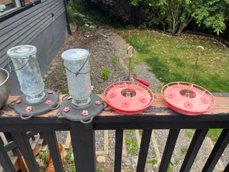 Bird feeders with new humming bird bottle