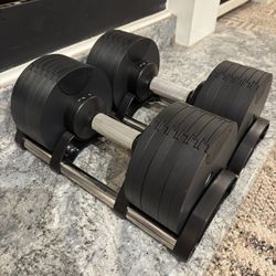 Dumbbells | Home Gym