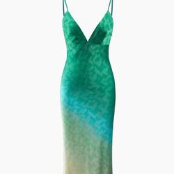Ombré Full Length Dress