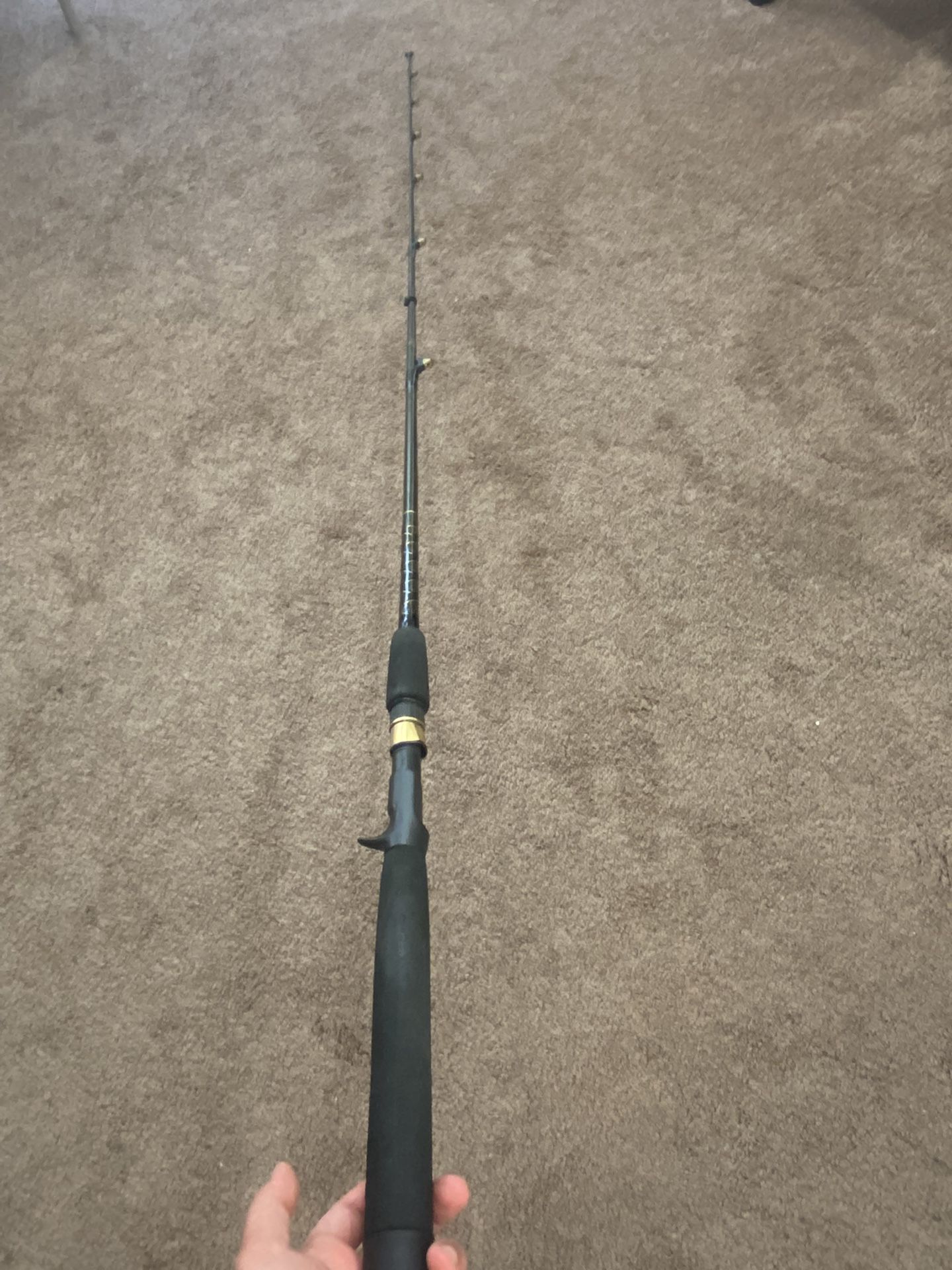 FIRM PRICE: Fishing Rod - Saltwater Ocean Master Offshore Angler 6’6” 10-16lb Medium Action Casting Fishing Rod