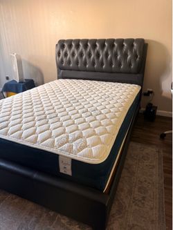 Queen Bed Frame + Mattress – Great Condition