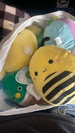 Squishmallows medium sized-giant
