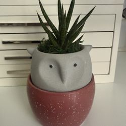 small fake plant 