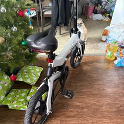 Electric Bike