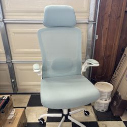 Ergonomic Office Chairs
