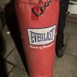 Everlast Punching Bag