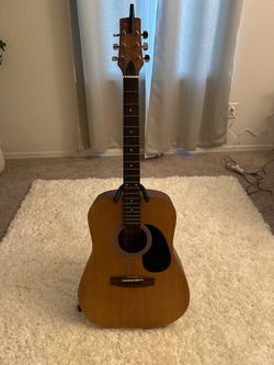 Acoustic guitar