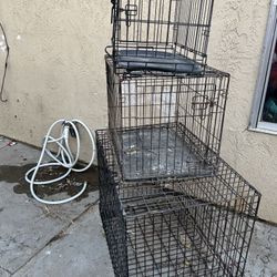 Crates For Dogs 