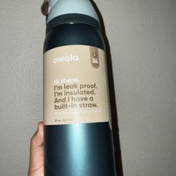 Owala Wintergreen 32oz