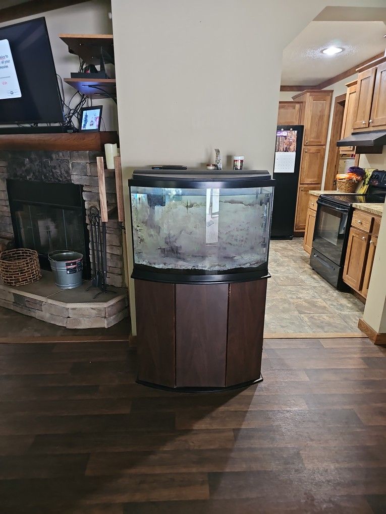 Free Aquarium.