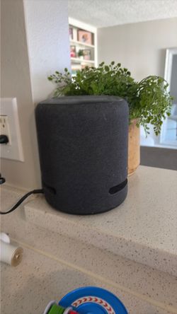Alexa for Sale