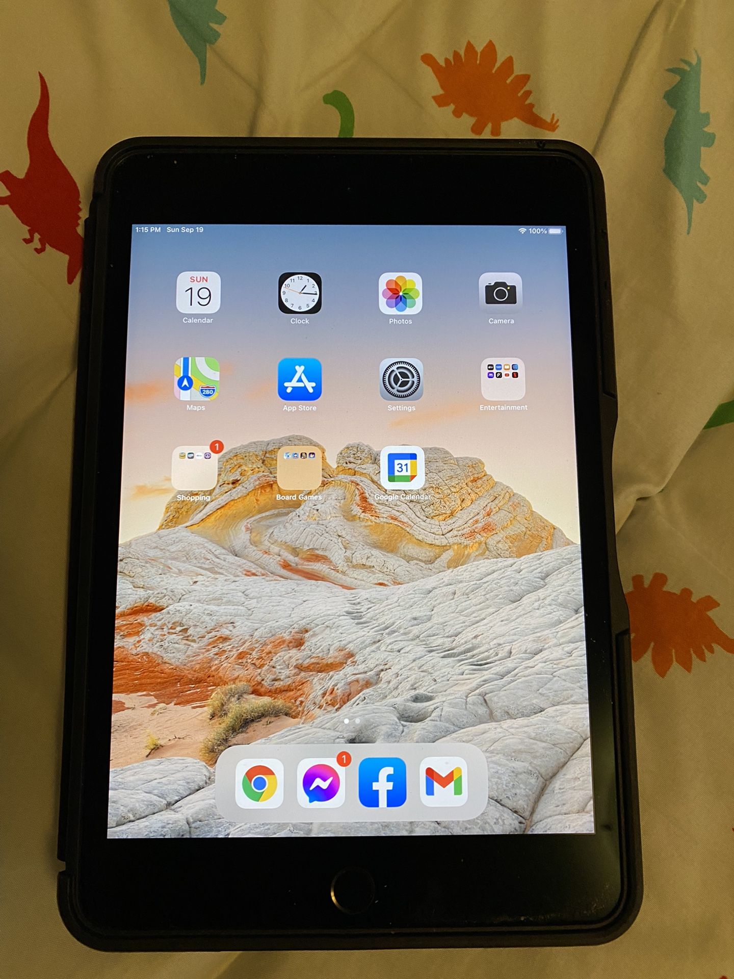 iPad Mini 5 