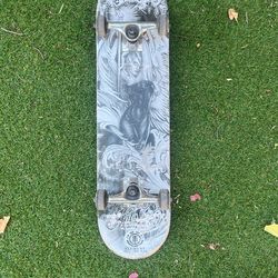 Skate Board Bam Margera Kat Von