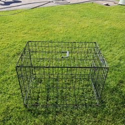 Dog Cage 