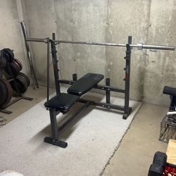 Olympic Bar Rack And Pull Down Machine 