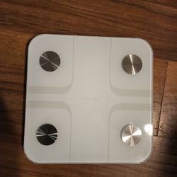 Electronic Weighing Scale 