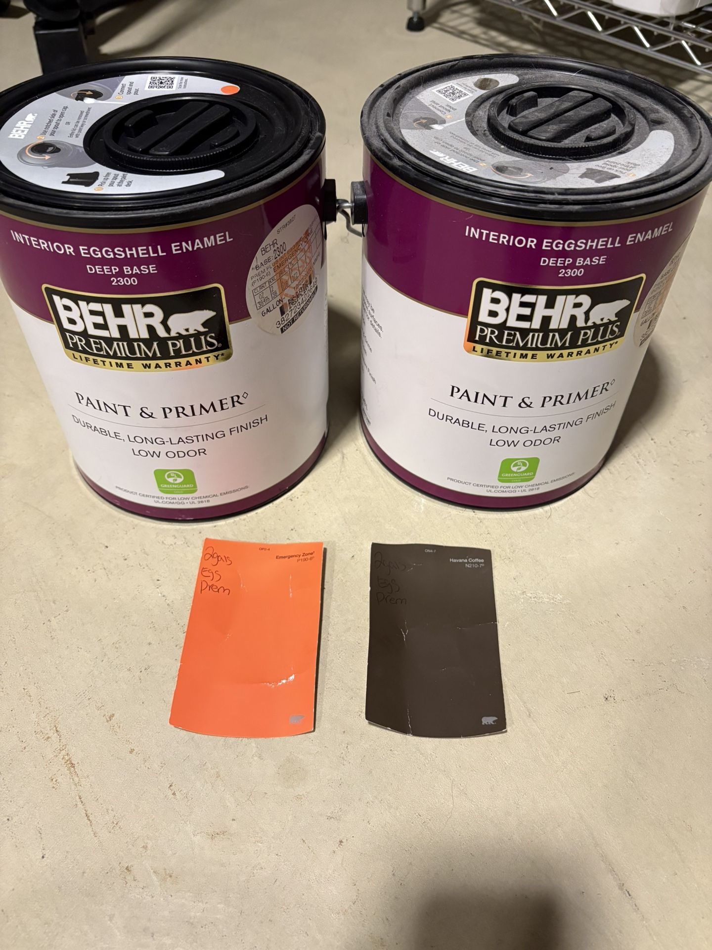 Browns Colors Paint