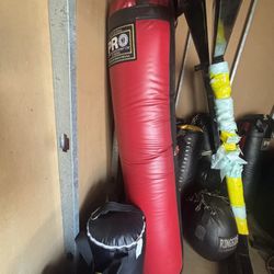 Boxing / Thai Punching Bags