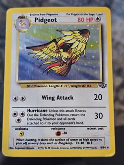 Pidgeot Holo Pokémon Trading Card 