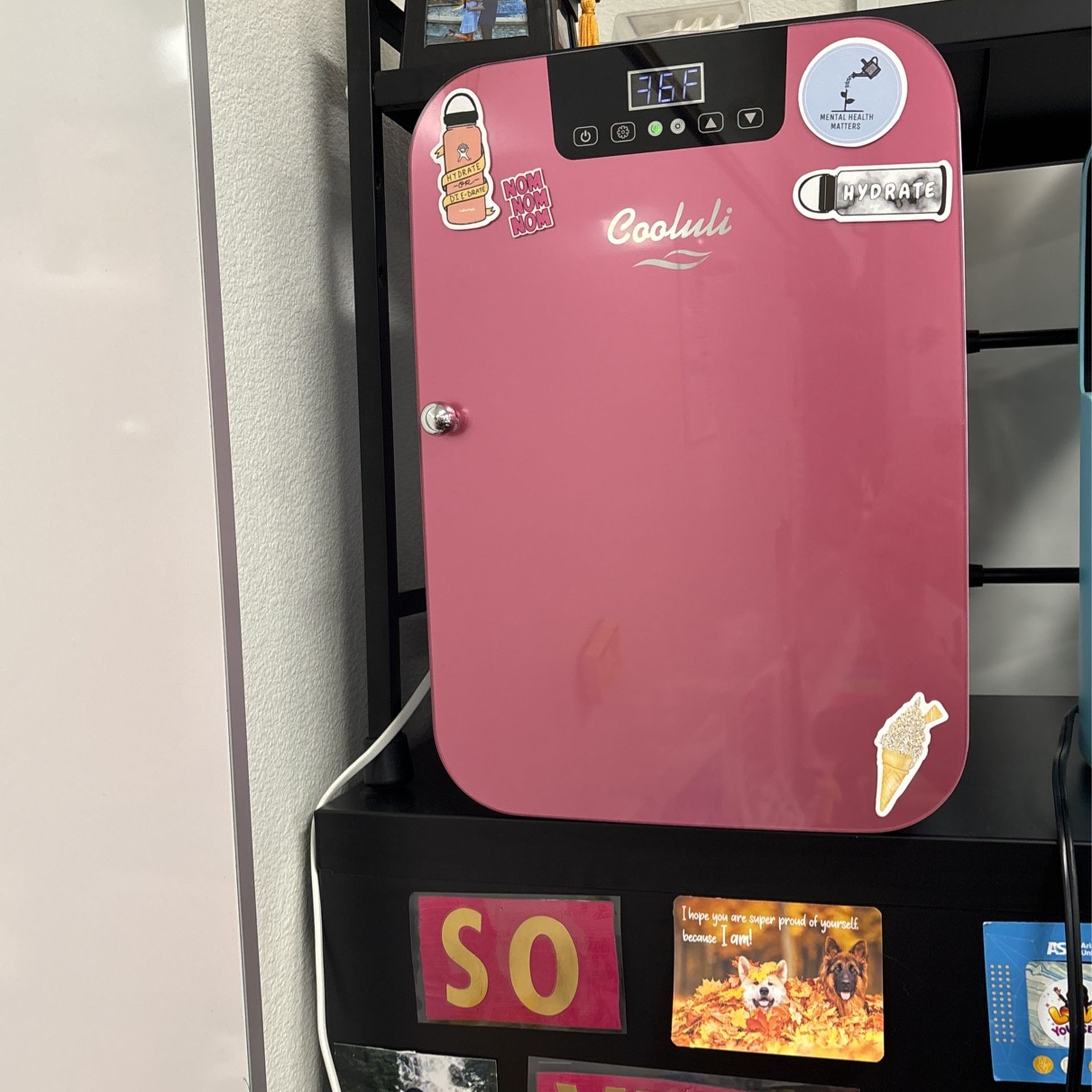 Pink Mini Fridge