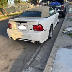 Mustang Stuff