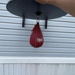 Everlast Punching Bag