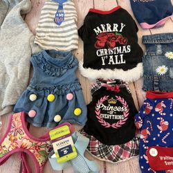 XS and Small Dog Accessories 