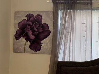 Wall art with curtain