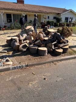 Free firewood, free wood.