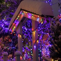 Christmas Lights, 32.8 Ft 50 LED C9 Christmas Lights with Timing Function Waterproof and Connectable Plug for Home Party Garden Decor Outdoor Christma