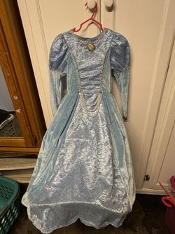 Cinderella Costume Princess