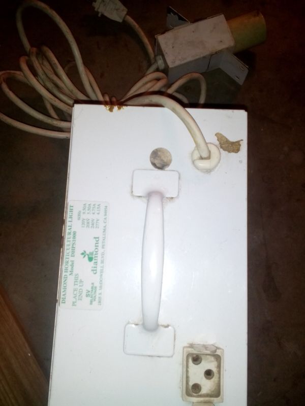 Ballast diamond horticultural light model 10000