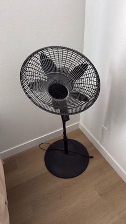 Fan