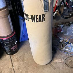 Punching bag with gloves