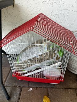 Bird Cage