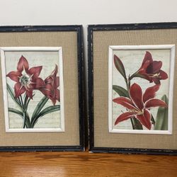 Set of 2 Distressed Red amaryllis flowers framed pictures 28”H x 22W