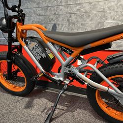 YQ CHOPPER  750W Electric Bikes Ebikes