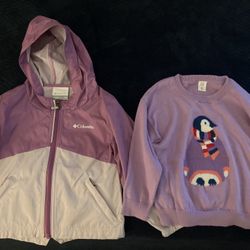 Toddler Girl Size 3T 