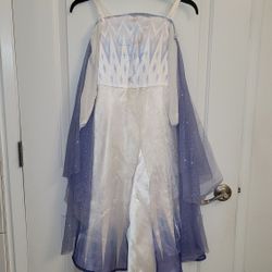 Size 4-6X Frozen Elsa Halloween Costume Excellent Condition PRICE Is Firm Cash Only 