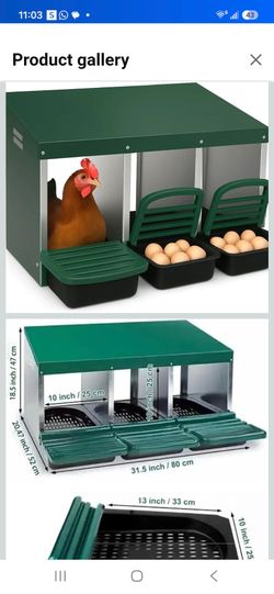 3-Hole Chicken Nesting Box with Egg Trays